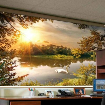 Rèm cuốn tranh cửa sổ in họa tiết 3D