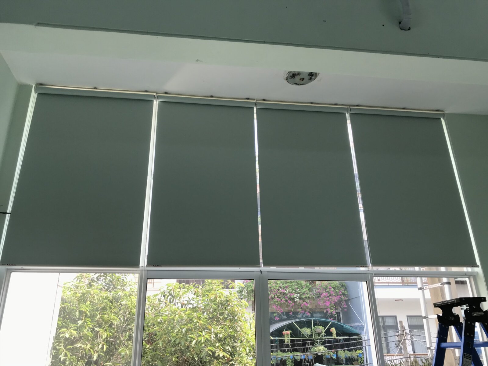 Mẫu rèm cuốn blackout cho cửa kính tầng trệt