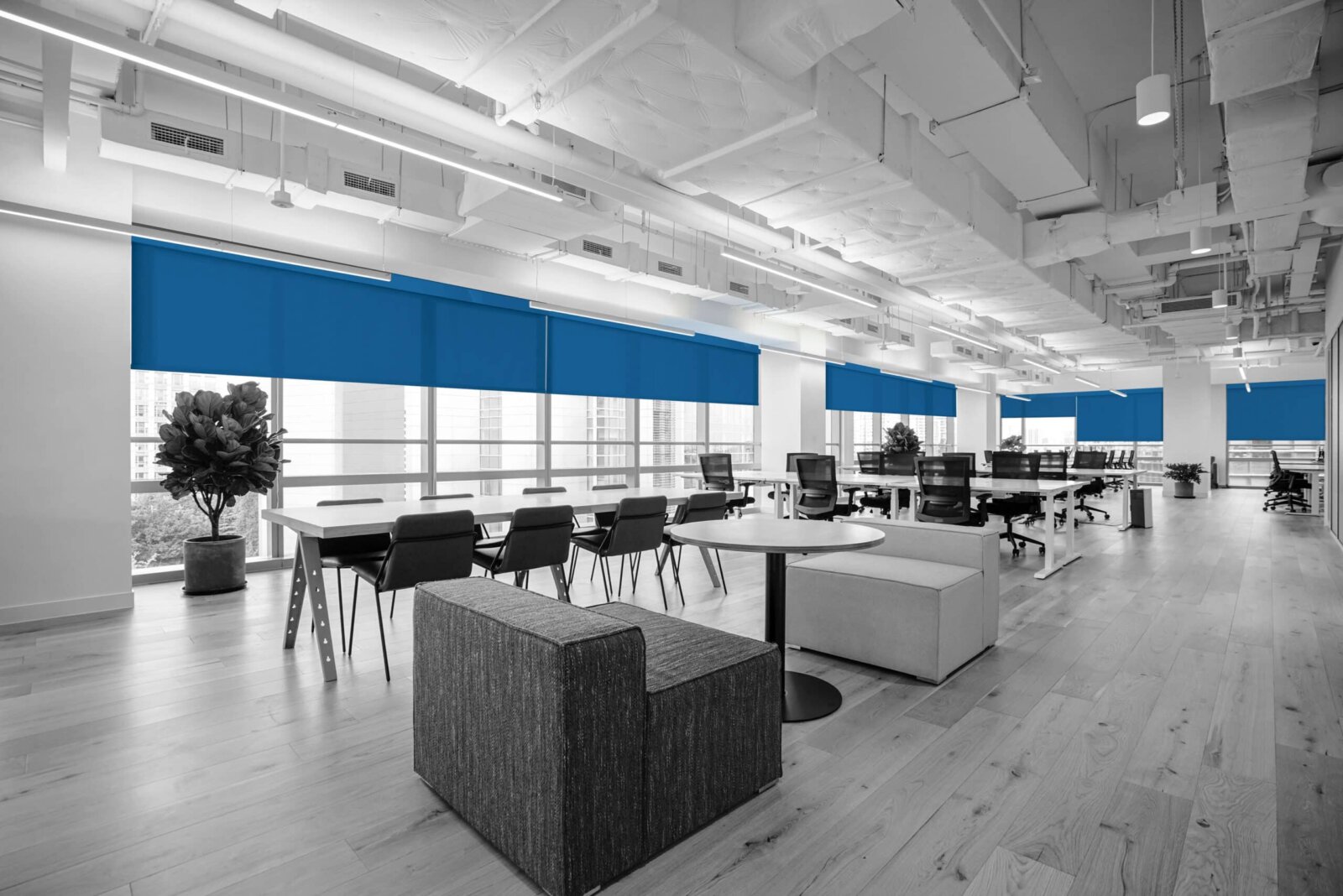 Ảnh mẫu rèm văn phòng cho không gian co-working tối ưu ánh sáng